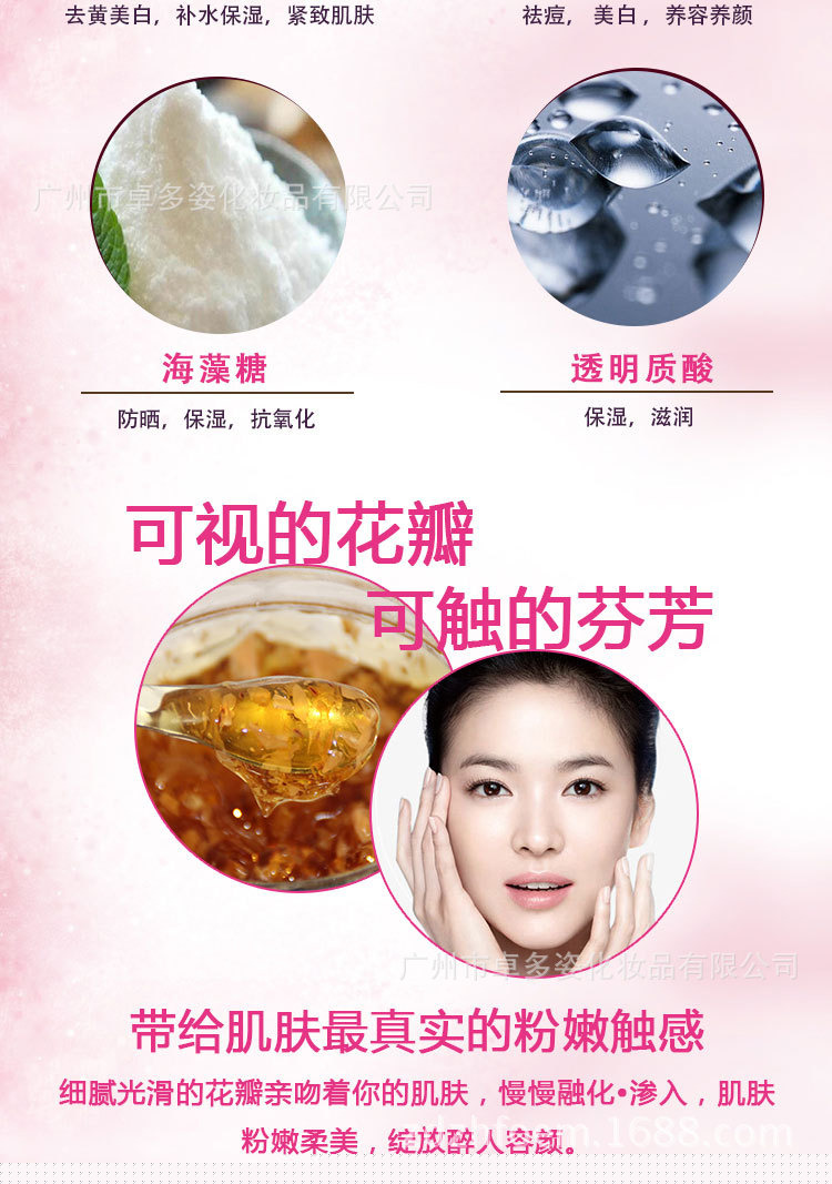 玫瑰花瓣_03